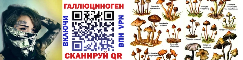 Галлюциногенные грибы мухоморы  Красный Холм 
